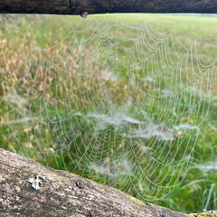 23-09-10 09-37-22 6581